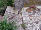 P1740997